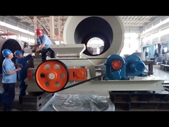 Cụ thể có kích thước hạt φ600 8t / H Granulator cuộn kép